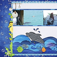 dolphins_web.jpg