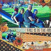 fall-in-the-air-nc18.jpg