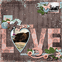 kitty-loveweb.jpg