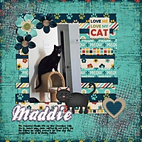 maddie_Custom_.jpg