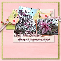 magnolia_600_x_600_1.jpg