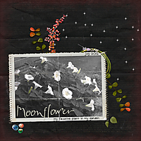 moonflowersm.jpg