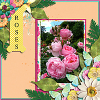 roses11.jpg
