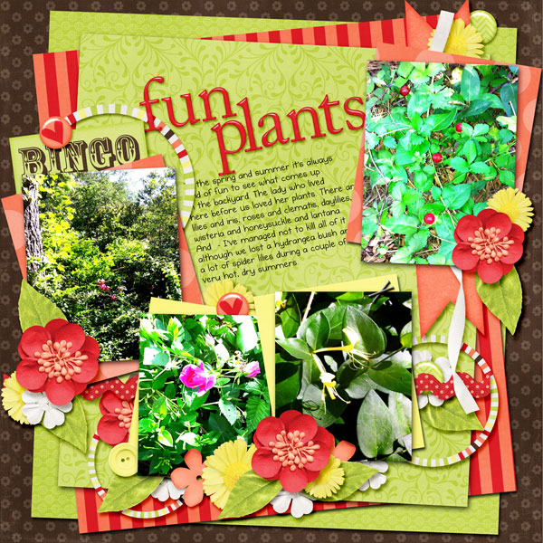 Fun Backyard Plants
