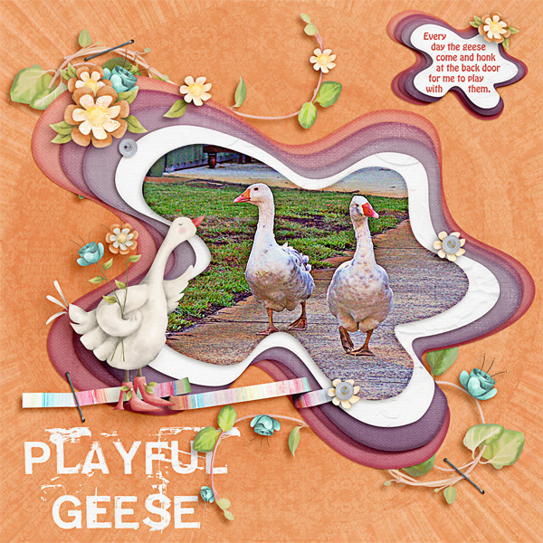 Playful Geese