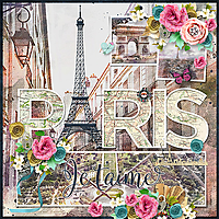 Paris---Je-taime-HSAParis.jpg