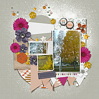 autumn_trees1.jpg