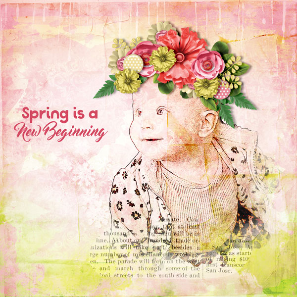 spring is a new beginning