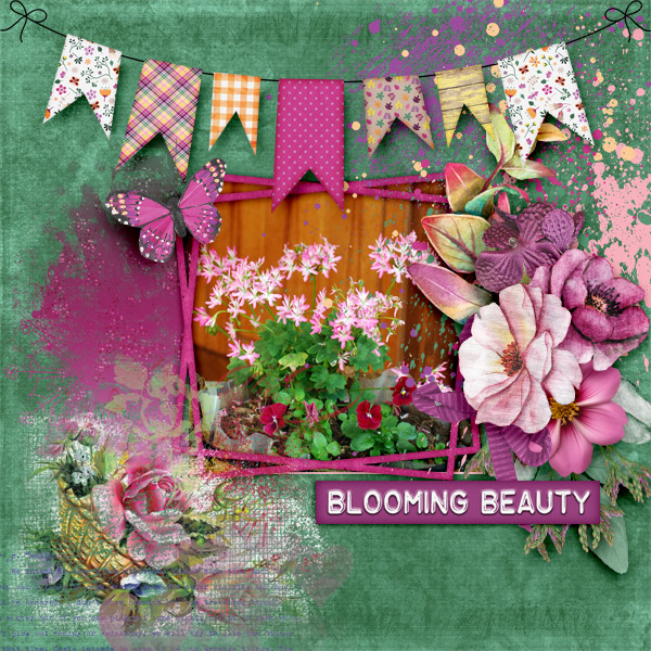 Blooming-beauty