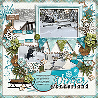 winter-wonderland35.jpg