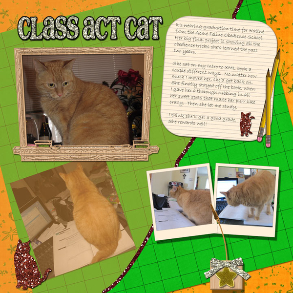 Class Act Cat