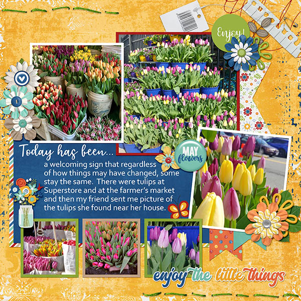 Tulips For Sale