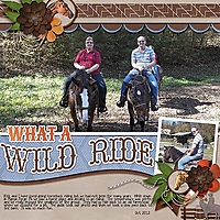 12_10-What-a-Wild-Ride---Horse-Riding.jpg