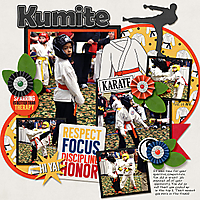 2012-03-31-kumite_sm.jpg