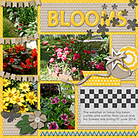 Blooms1.jpg