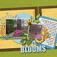 Blooms_copy.jpg