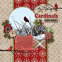 Cardinals_Snow_Birds.jpg