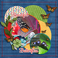 Mackinac_s_Beautiful_Butterflies_dss.jpg