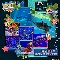 Maui-Ocean-Center-web.jpg
