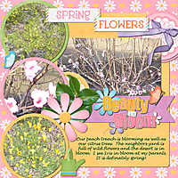 Project-2013-April--Spring-Flowers.jpg
