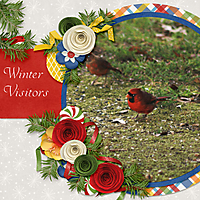 Winter-Cardinal.jpg