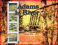 pg-1-Adam_s-River-Salmon-Run.jpg