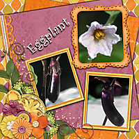 tms_happy_blooms_eggplant_-_Page_026.jpg