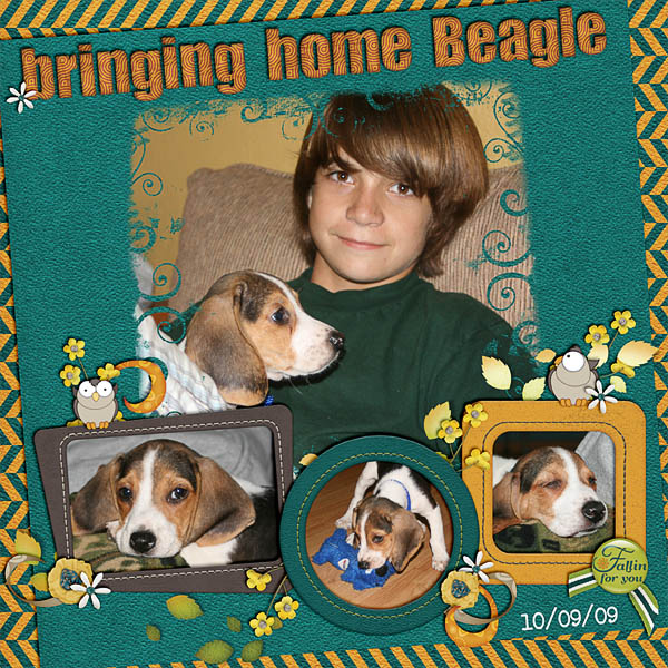 Bringing Home Beagle