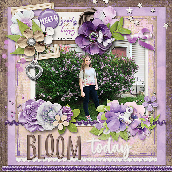 Lilacs Bloom