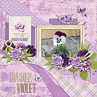 horned-violet.jpg