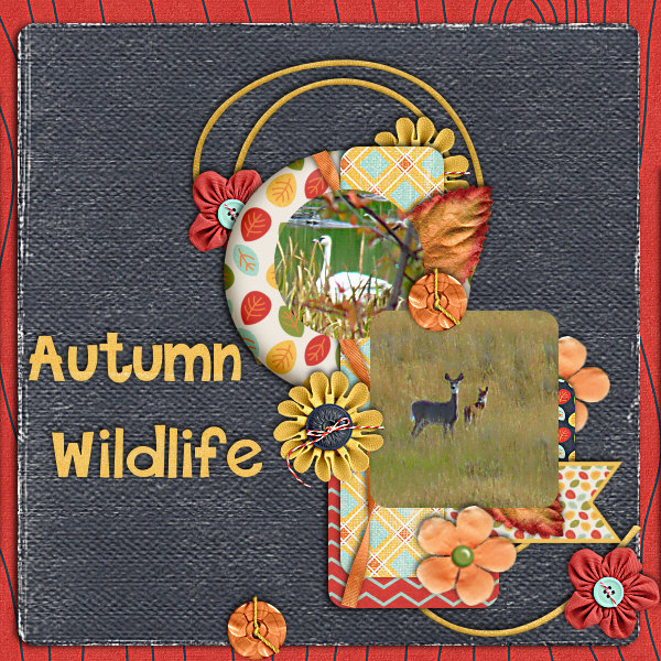 Autumn Wildlife