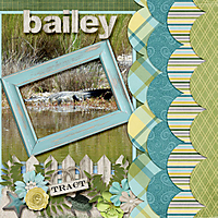 Bailey_s-Tract2-ggi-lift.jpg