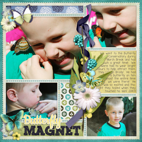 butterfly-magnet