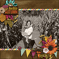 AutumnSpice1.jpg