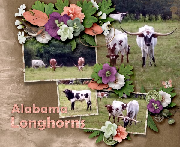 Alabama Longhorns