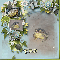 Toad_Color-Chal_GS_WEB.jpg