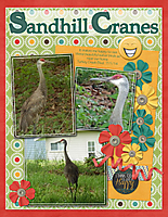 Sandhill-Cranes.jpg