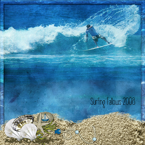 Surfing Tallows