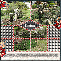 Timber_Nov_web.jpg