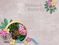 monarch_600_x_464_.jpg