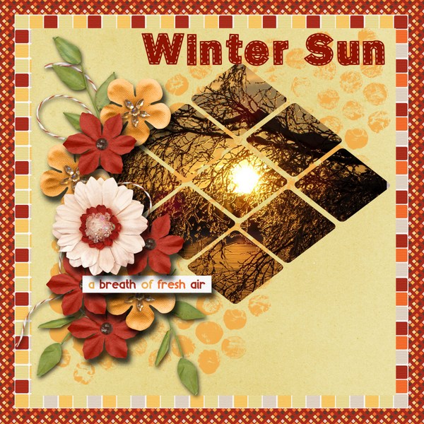 Winter_sun