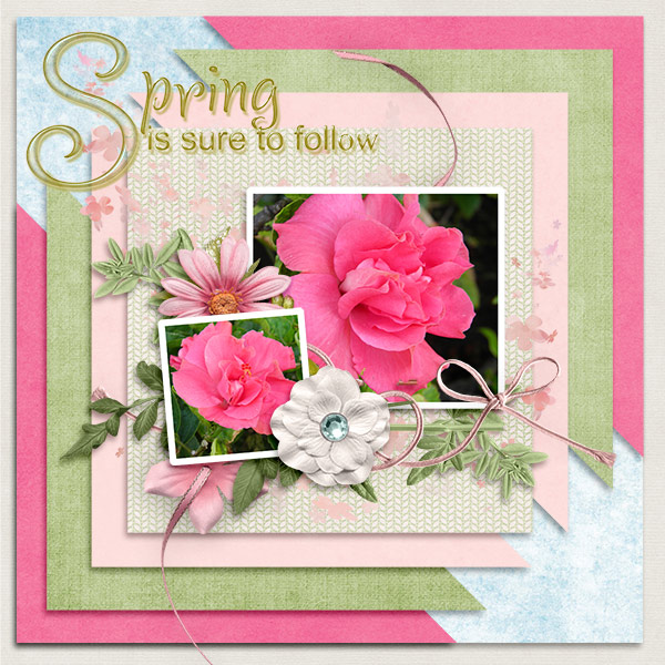 Spring-to-follow1