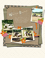 White-Rhinoweb1.jpg