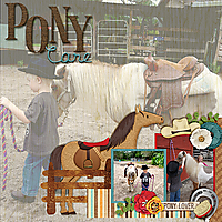 h-pony-care.jpg