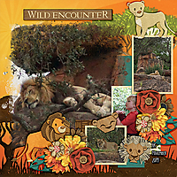 wild-encounter-1119.jpg