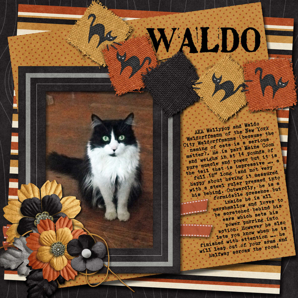 2015 05 Waldo