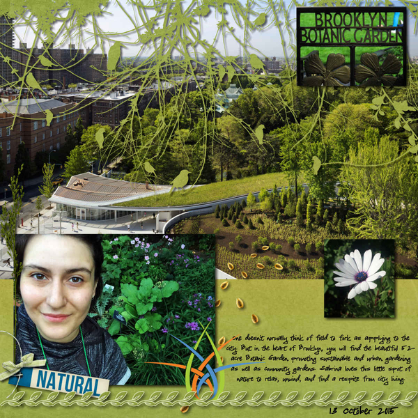 2015 10 13 Brooklyn Botanic Garden