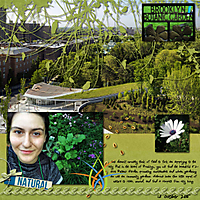 2015_10_13_Brooklyn_Botanic_Garden_250kb.jpg