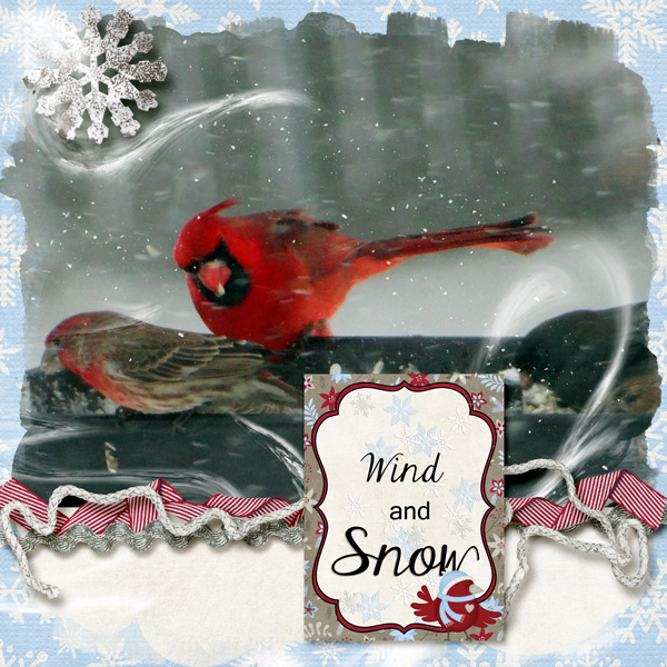 Wind and Snow