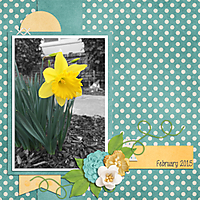 Daffodils_Challenge.jpg